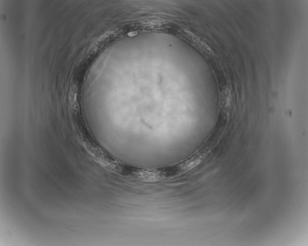 X0000083620615200703051611