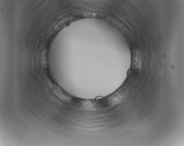 X0000083620616200703051611