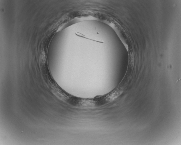 X0000083620617200703051611