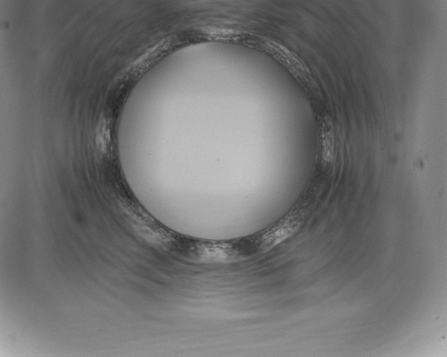 X0000083620618200703051611