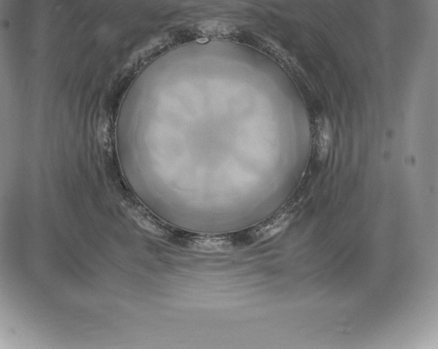 X0000083620619200703051611