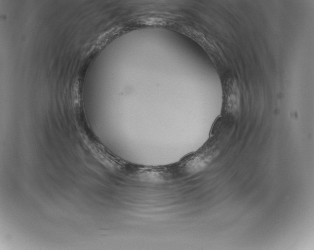 X0000083620620200703051611