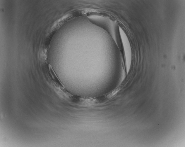 X0000083620621200703051611