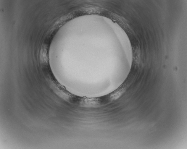 X0000083620622200703051611