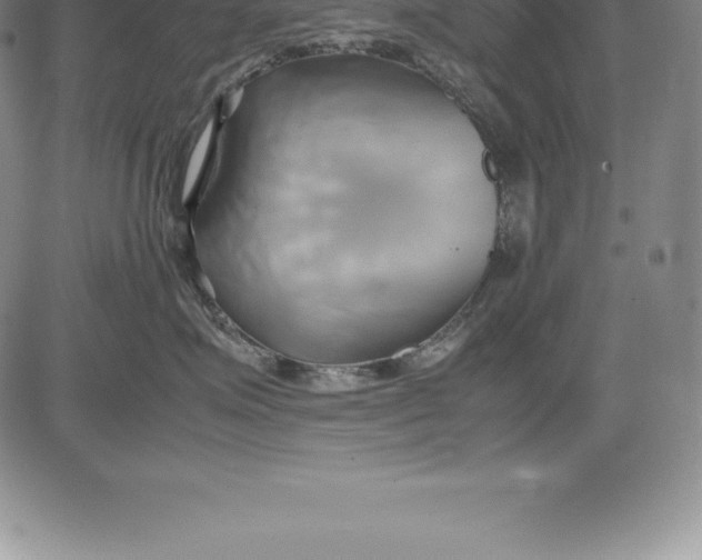 X0000083620623200703051611