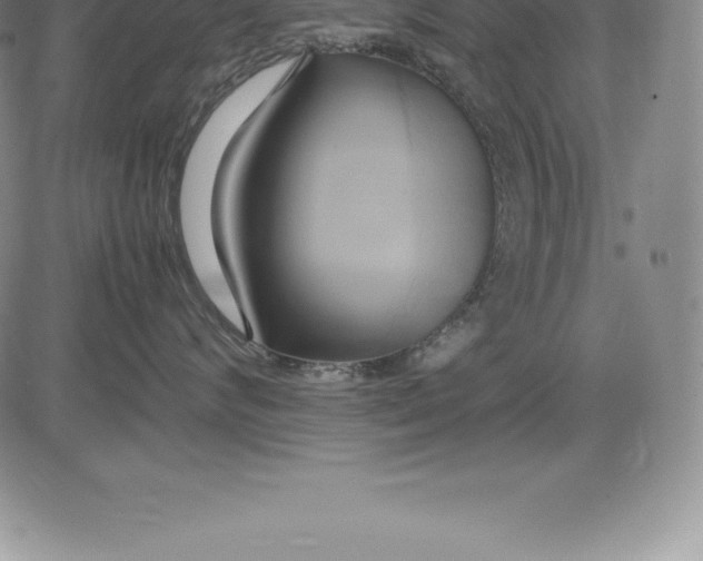 X0000083620624200703051611