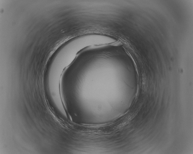 X0000083620626200703051610