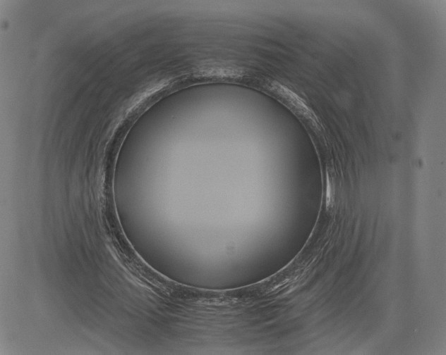 X0000083620627200703051610