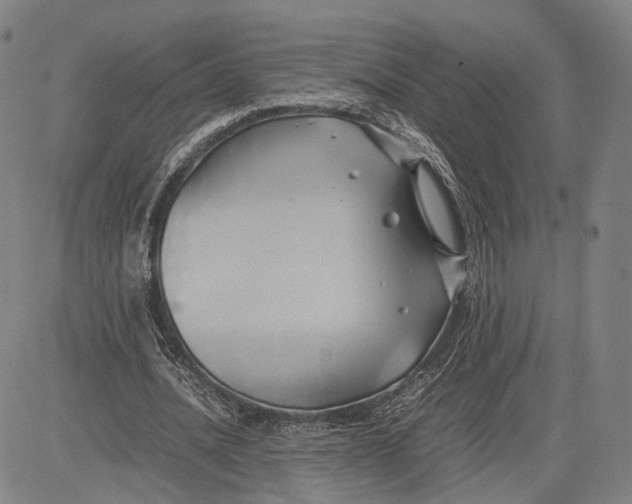 X0000083620628200703051610