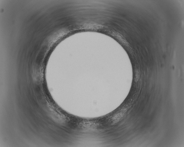 X0000083620632200703051610