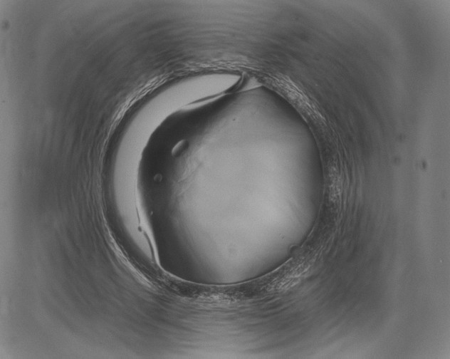 X0000083620634200703051610