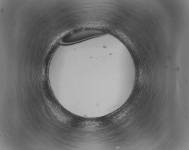 X0000083620636200703051610