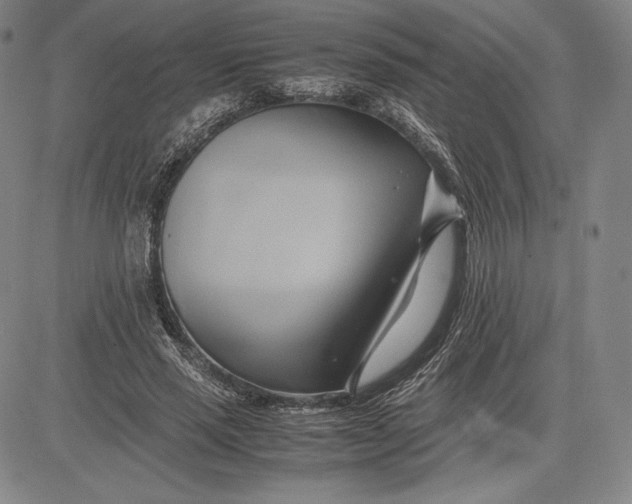 X0000083620637200703051610