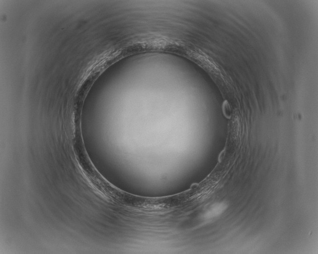 X0000083620638200703051610