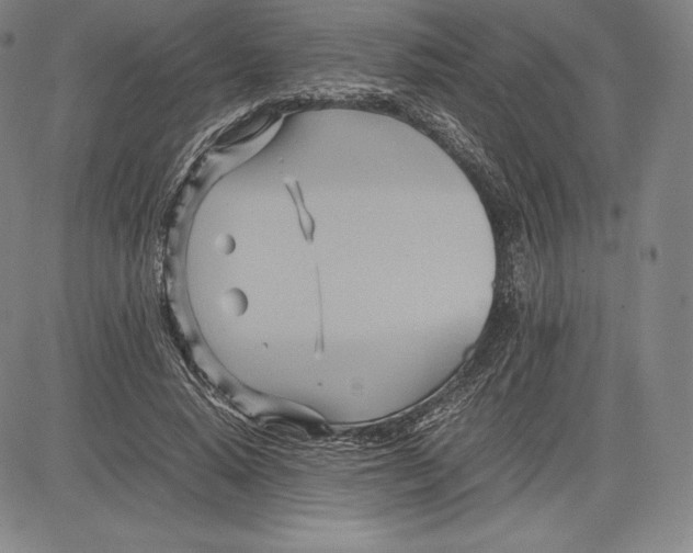 X0000083620640200703051610