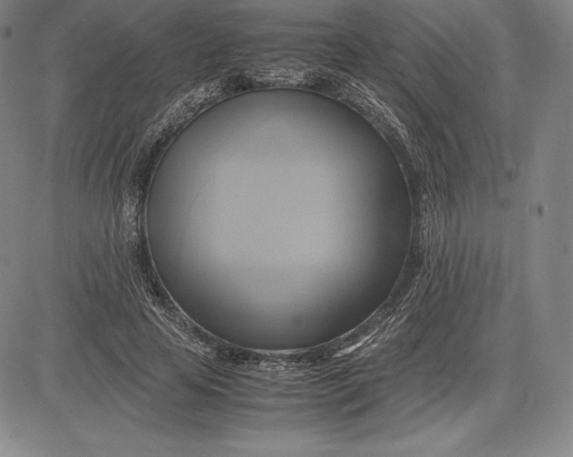 X0000083620641200703051610