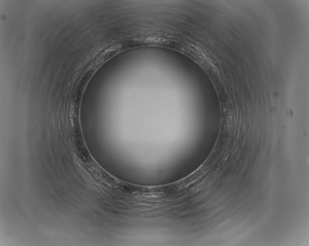 X0000083620643200703051610