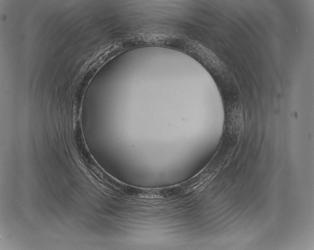 X0000083620644200703051610