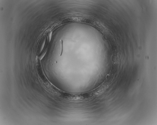 X0000083620646200703051610