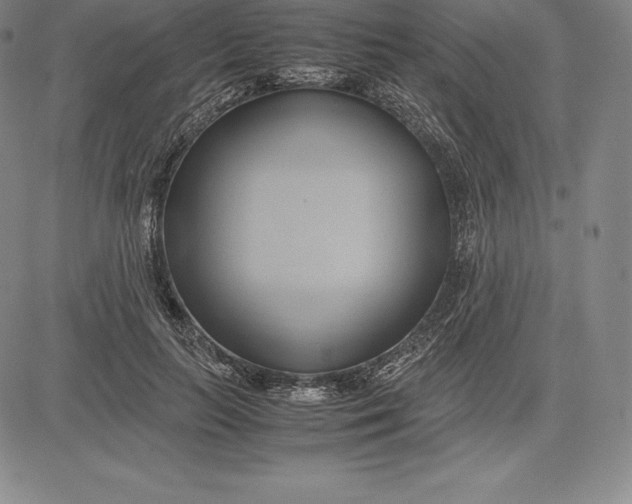 X0000083620647200703051610