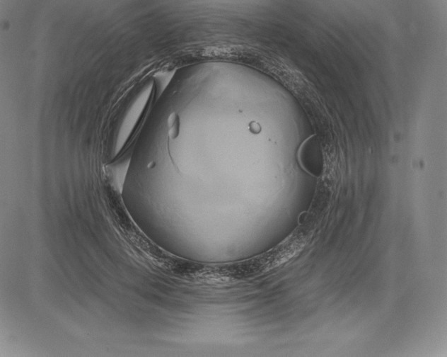 X0000083620648200703051610