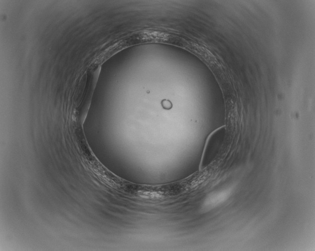 X0000083620649200703051610