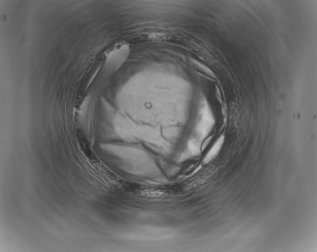 X0000083620650200703051610