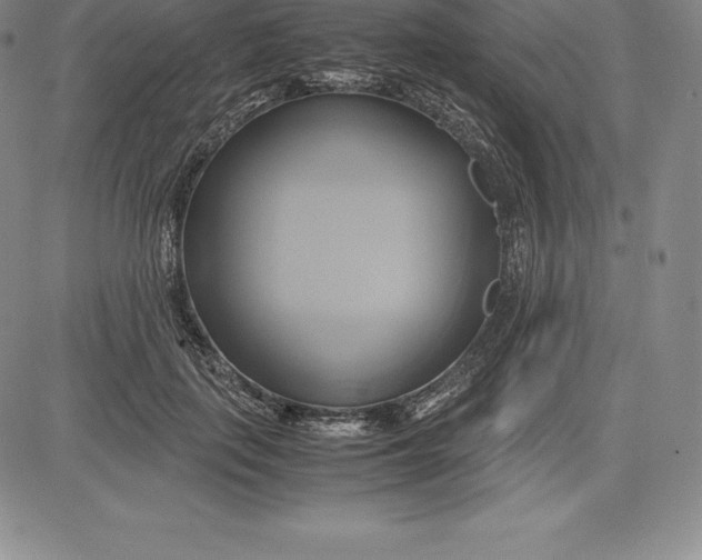 X0000083620651200703051610