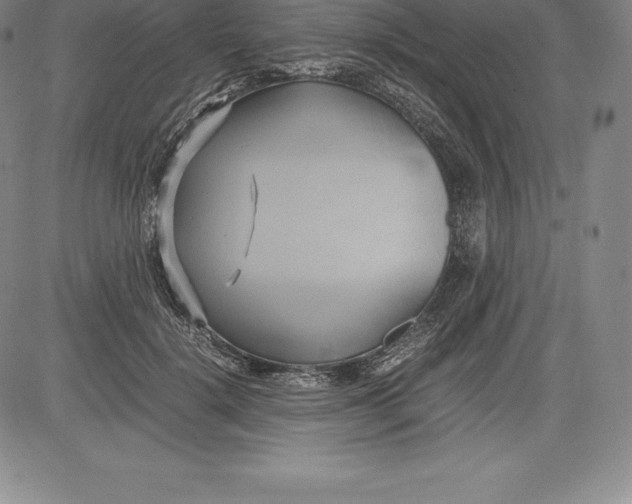 X0000083620652200703051610