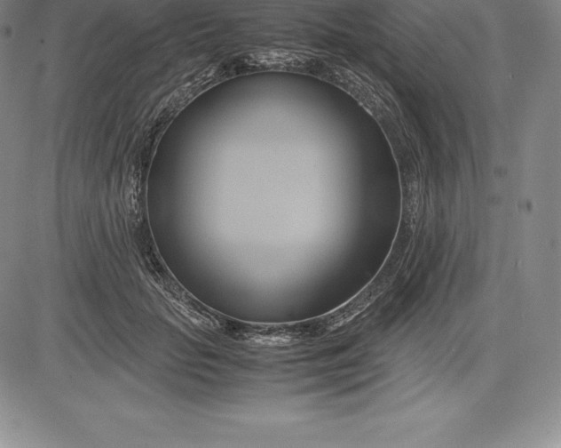 X0000083620653200703051610