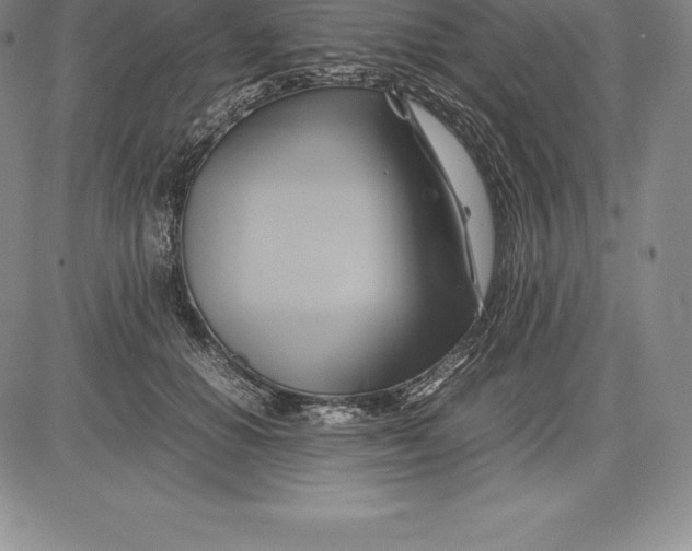 X0000083620654200703051610