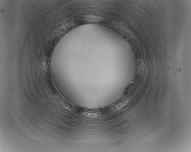 X0000083620655200703051610