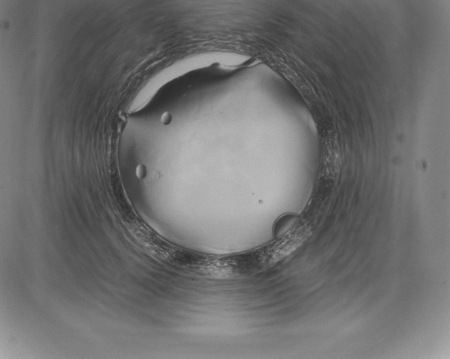 X0000083620656200703051610