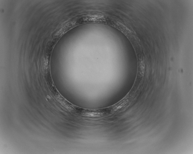 X0000083620657200703051610