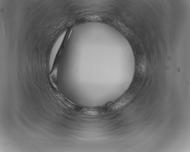 X0000083620658200703051610