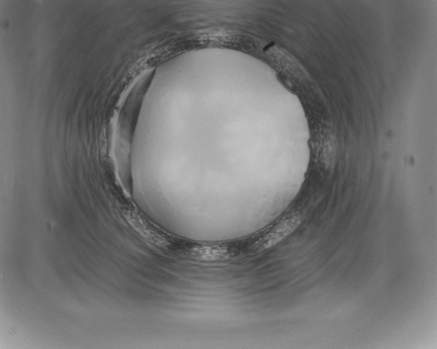 X0000083620660200703051610