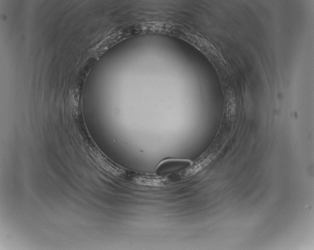 X0000083620661200703051610