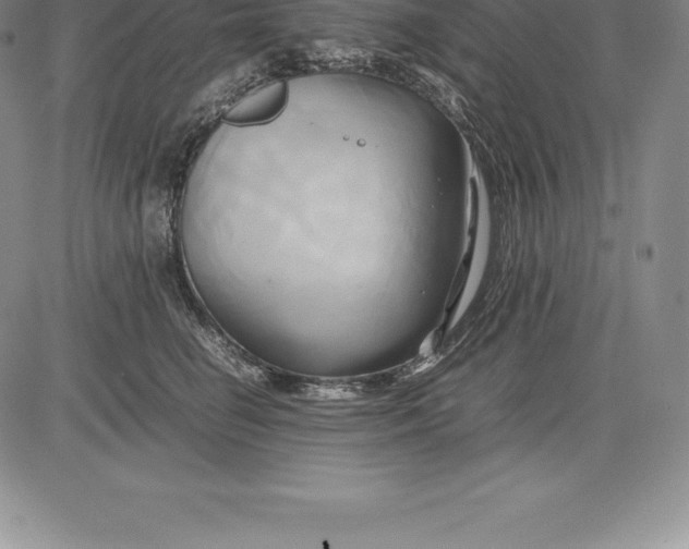 X0000083620662200703051611