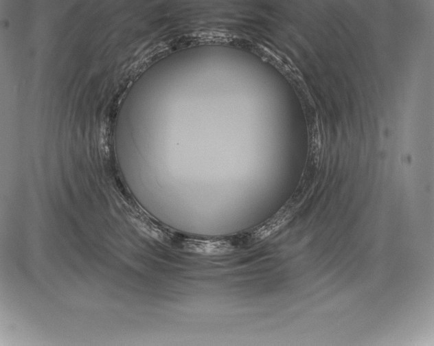 X0000083620663200703051611