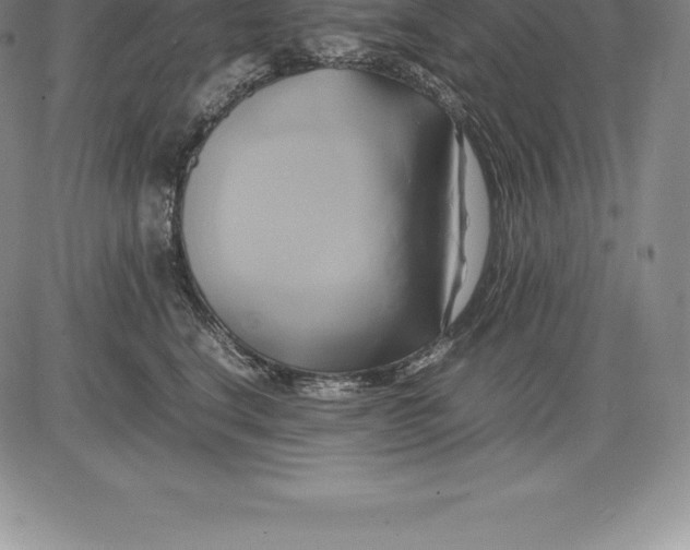 X0000083620664200703051611