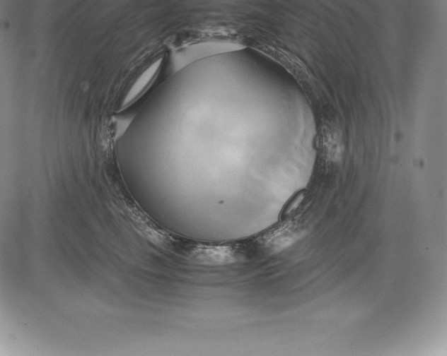 X0000083620665200703051611