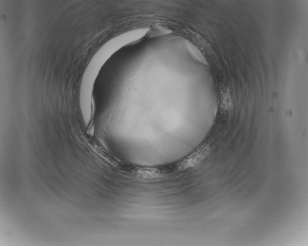 X0000083620666200703051611