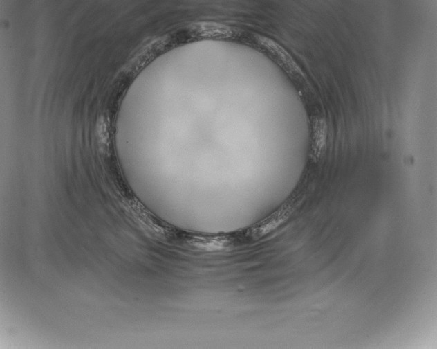 X0000083620667200703051611