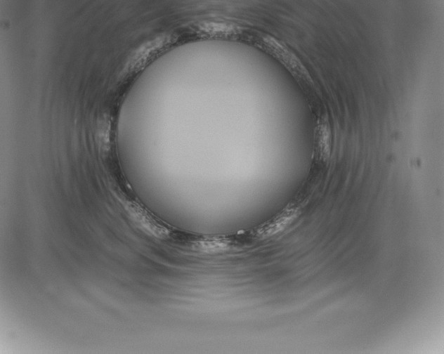 X0000083620668200703051611