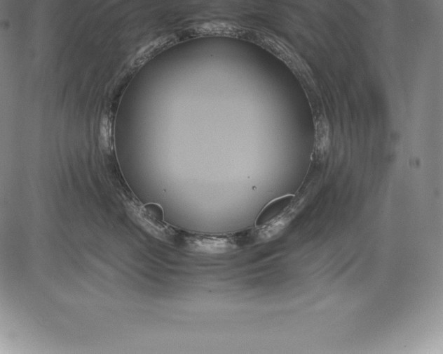 X0000083620669200703051611