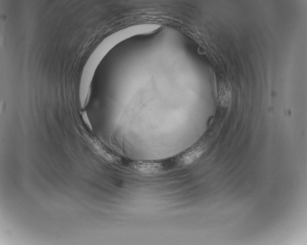 X0000083620670200703051611