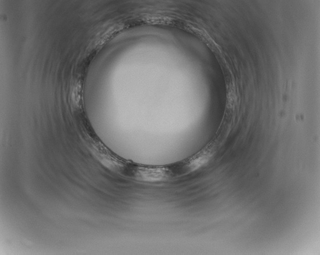 X0000083620671200703051611