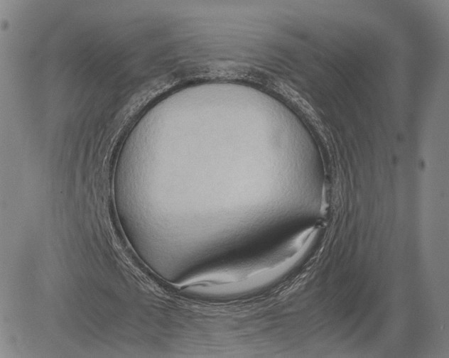 X0000083620673200703051610