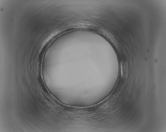 X0000083620675200703051610