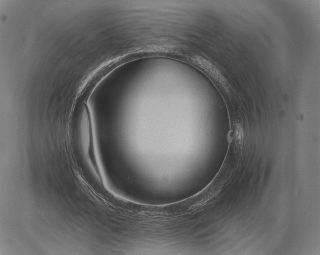 X0000083620676200703051610